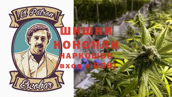 mix Богородицк