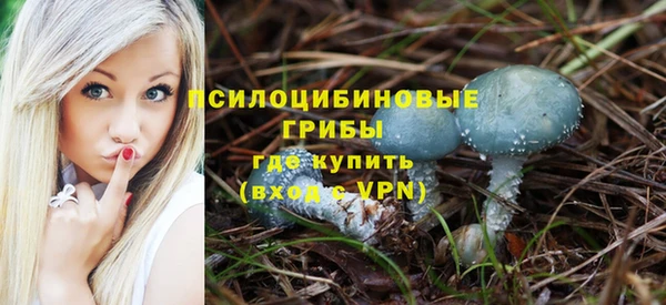 mix Богородицк