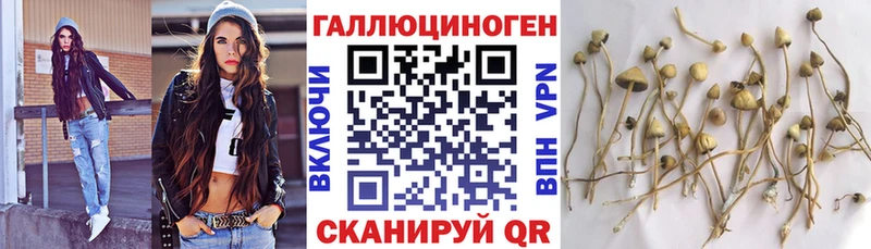 Псилоцибиновые грибы мухоморы  сколько стоит  Егорьевск 