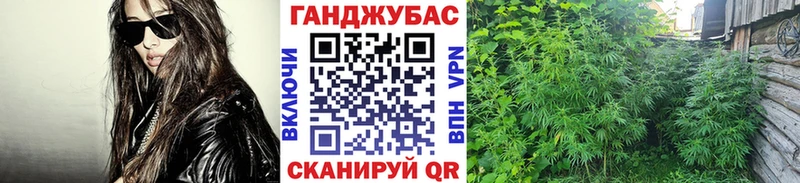 наркота Егорьевск Конопля семена